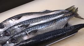 Ancient cooking hack to gut a fish in a few seconds using only chopsticks