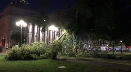 Damage from Tropical Storm Isaias in New Haven, Connecticut