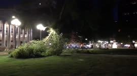 Newsflare Edit - The aftermath on the New Haven Green. #ctweather #Isaias https://t.co/VF5fFksrfE