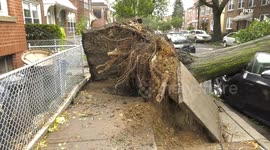 Tropical Storm Isaias crushes cars, trees in New York