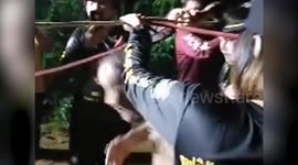 Flood victims rescued after speeding five hours clinging to submerged tree