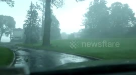 Dramatic moment tree falls on man's car in the US when driving through Hurricane Isaias