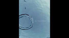 Playing with bubble rings
