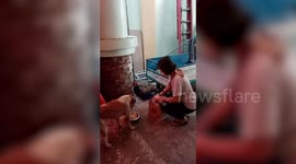 Woman feeds stray dogs and cats during lockdown in the Philippines