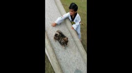Indian Spitz loves Sliding Down in Park