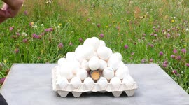 This is what happens when you put eggs to the firecracker challenge