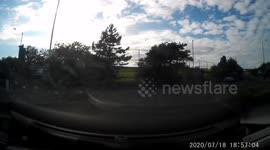 Pigeon vs car near miss