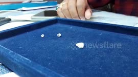 Lucky labourers discover gems worth at least $26676 in central India’s diamond mine