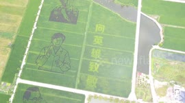 Chinese villager grows crops to form images of coronavirus heroes