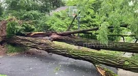 US: Tropical Storm Isaias Leaves Widespread Damages To Northeast 6