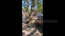 US: Tropical Storm Isaias Leaves Widespread Damages To Northeast 4
