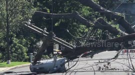 US: Tropical Storm Isaias Leaves Widespread Damages To Northeast