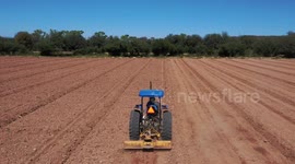 A tractor plows the soil to prepare the land in Sonora Mexico