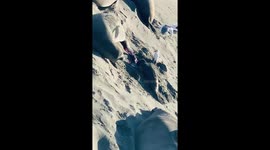 Incredible Sea Lion Birth Caught On Camera
