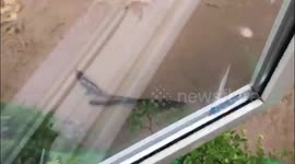 JP: Tropical Depression Hagupit Brings Heavy Rain To Northern Hokkaido