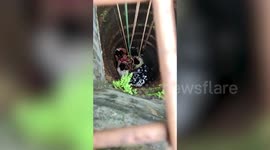 Fire brigade rescue elderly women who fell into well in Southern India