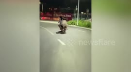 Alleged drunk teenagers narrowly avoid being run over by scooter after their electric bicycle tips over in China