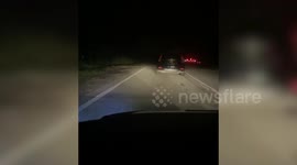 Wild elephant attacks car after being spooked by honking drivers in Malaysia