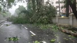 Mumbai storm brings devastation with trees blown onto road