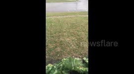 US: Thunderstorm Brings Golf Ball-Sized Hail To Parts Of North Dakota