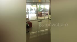 Wild Snake Tries To Get Inside House