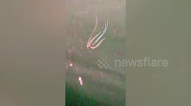 Mystery sea creature swims alongside fishing boat