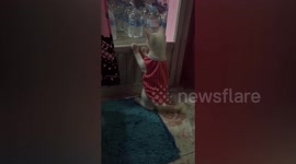 Kitty Waits Patiently For Child To Return