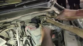 Venomous cobra found hiding inside parked car in western India