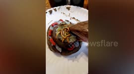 American woman serves worm cake to pet lizard to celebrates its birthday