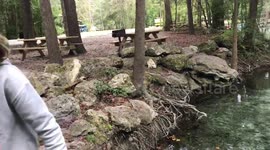 Ginnie Springs Paradise