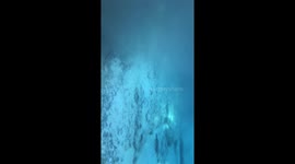 Ginnie Springs clear water