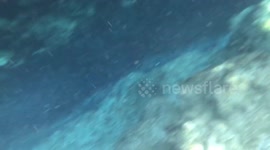 Ginnie Springs Cave
