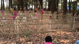 Traditional bamboo wedding in northeastern Thailand