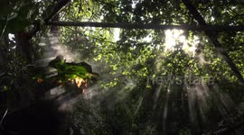 Amazing sunlight coming through a forest and magically illuminating mist that is blowing in the wind.