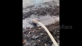 Mauritius: Oil Spill Reaches Coast