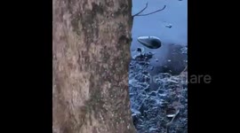 Mauritius: Oil Spill Reaches Coast 2