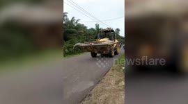Half-tonne 'demon' crocodile carried in bulldozer and beheaded by terrified locals in Indonesia