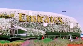 Miracle garden dubai, dubai's most beautiful place