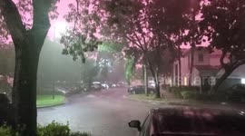Pink Rain Doral Florida