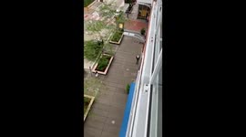 Looting with a Bowling Ball in Chicago