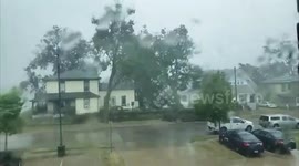 Moment of tree falling on car due to powerful Iowa 'derecho'