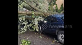 Further footage of damage caused by derecho storm in Chicago