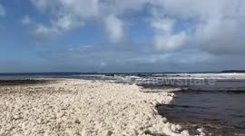 Sea foam washes ashore in New South Wales after deadly storms which killed a surfer