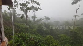 Heavy rain in the rainforest of Costa Rica