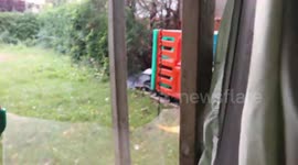 Clean up after Monarch Caterpillar Munch Party