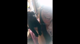 Meet Raffi The Black Naughty Doggie