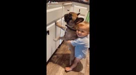 Toddler's adorable bond with his two dogs goes viral on TikTok