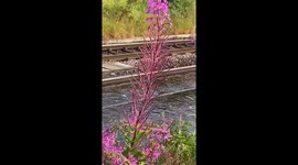 Hartwood Train Station After Monsoon like storm