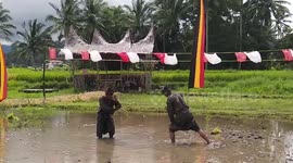 Welcoming Indonesian Independence Day, the residents of Padang Panjang hold a Rendang Cooking Festival