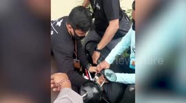 Two puppies rescued after spending six hours locked in impounded motorbike